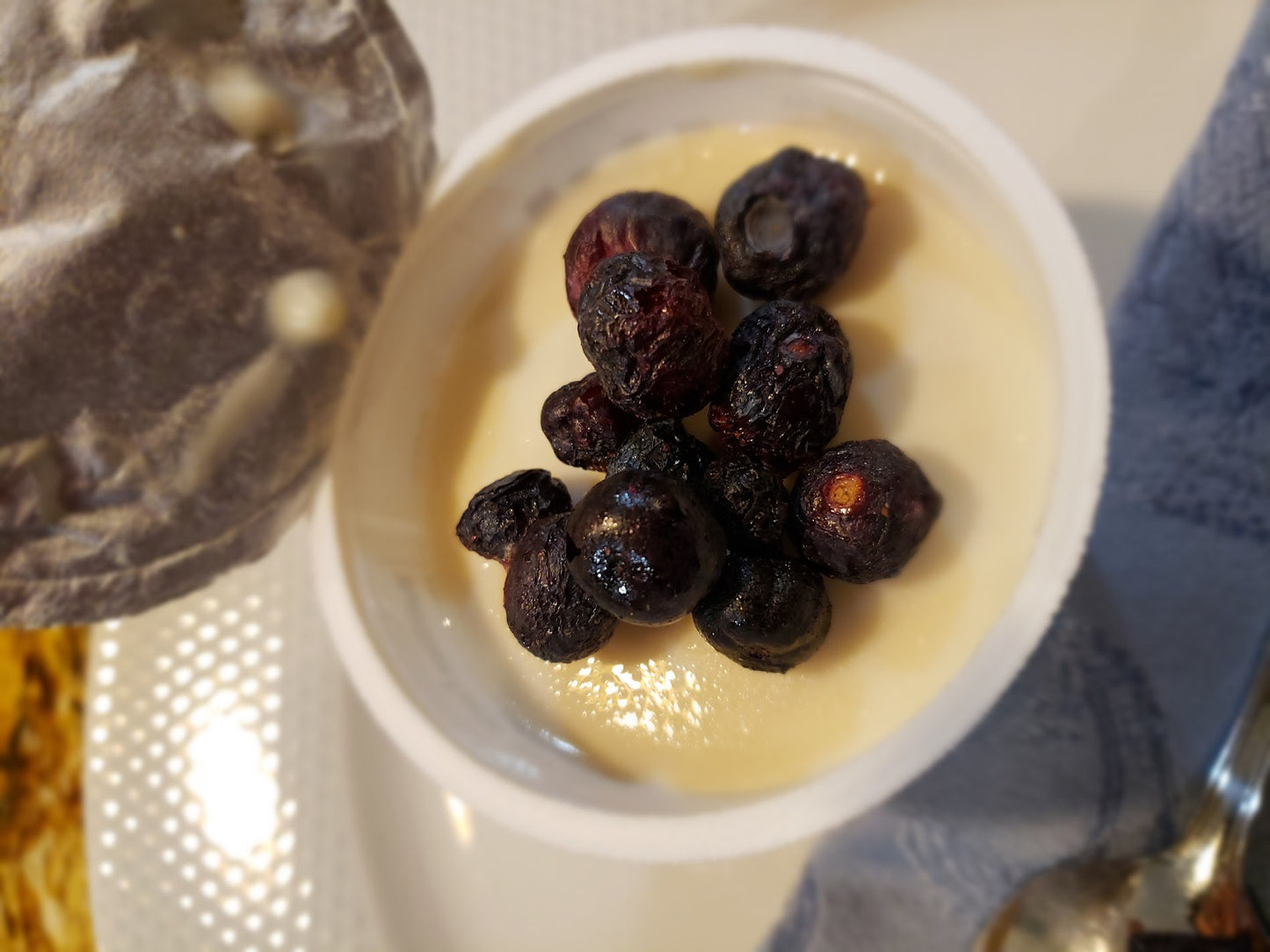 Freeze-Dried Wild Blueberries