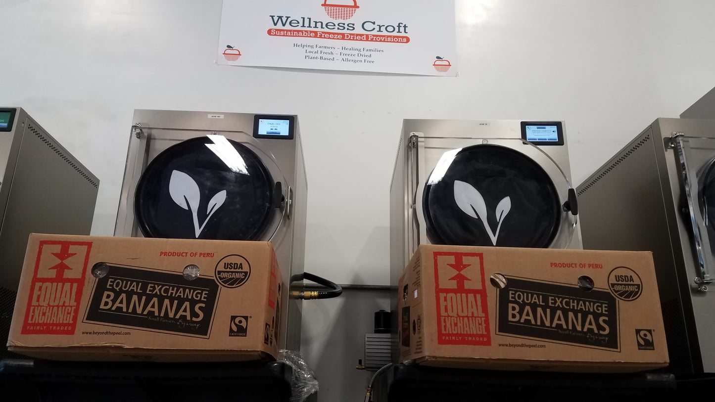 Freeze-Dried Banana Pouch 1.5oz