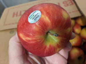 Freeze-Dried Apples Honeycrisp Variety