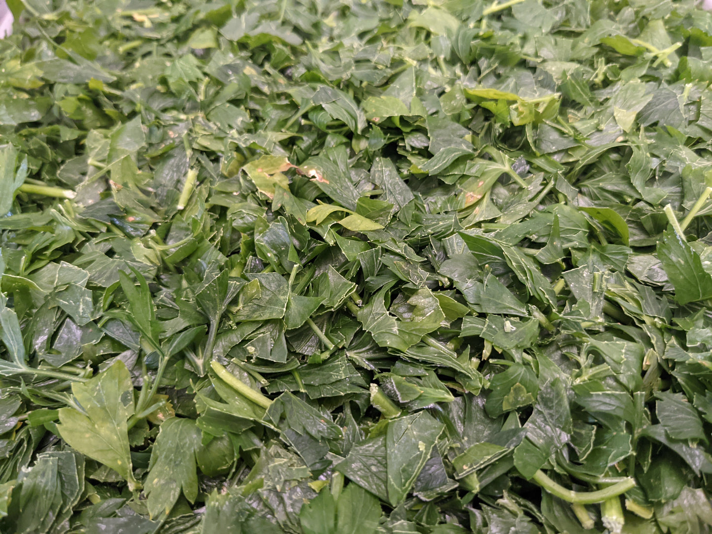 Freeze-Dried Parsley