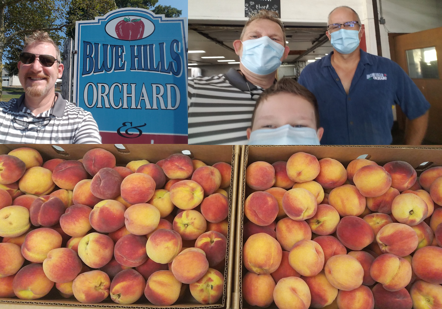 Freeze-Dried Peach Slices