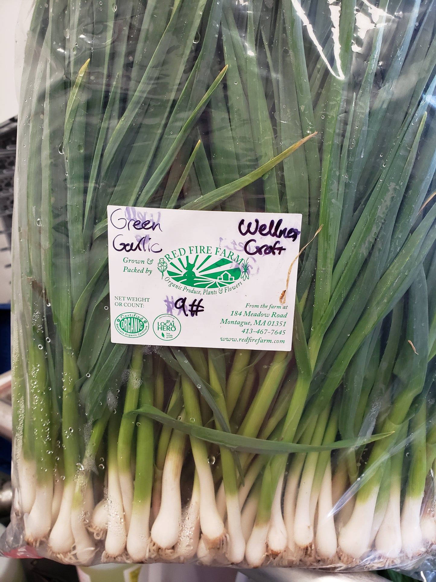 Freeze-Dried Garlic Greens Organic