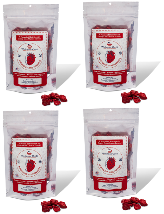 Freeze-Dried Strawberry Basket Monthly Subscription