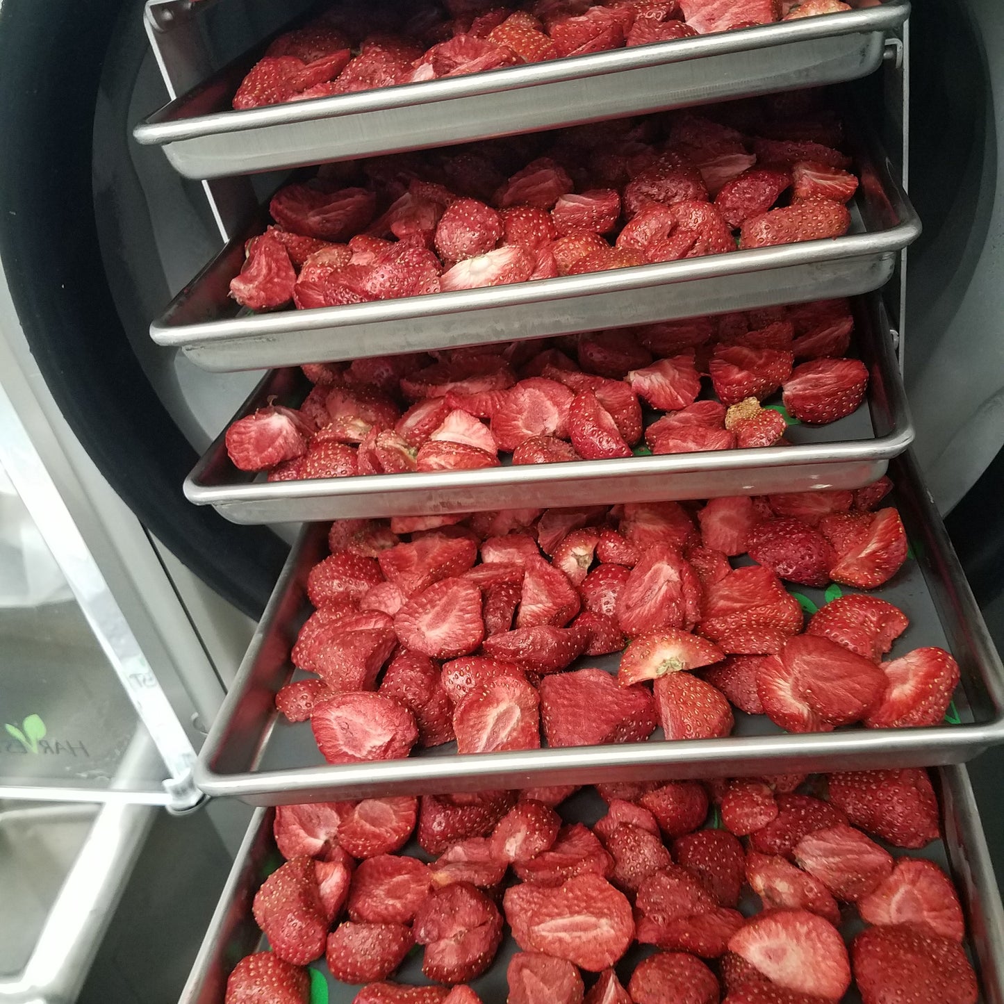 Freeze-Dried Strawberries Slices