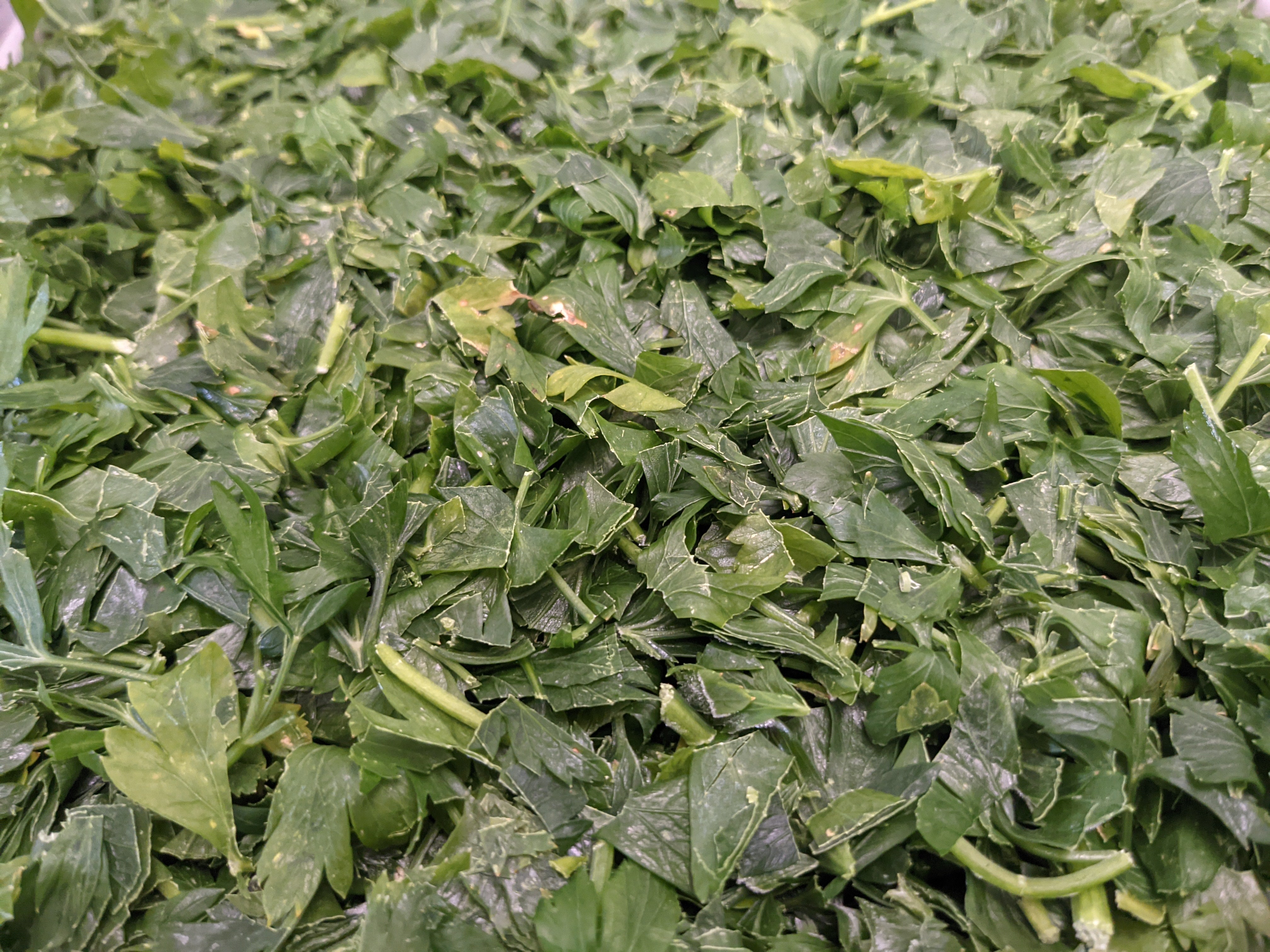 Freeze-dried Northeast Parsley Herb
