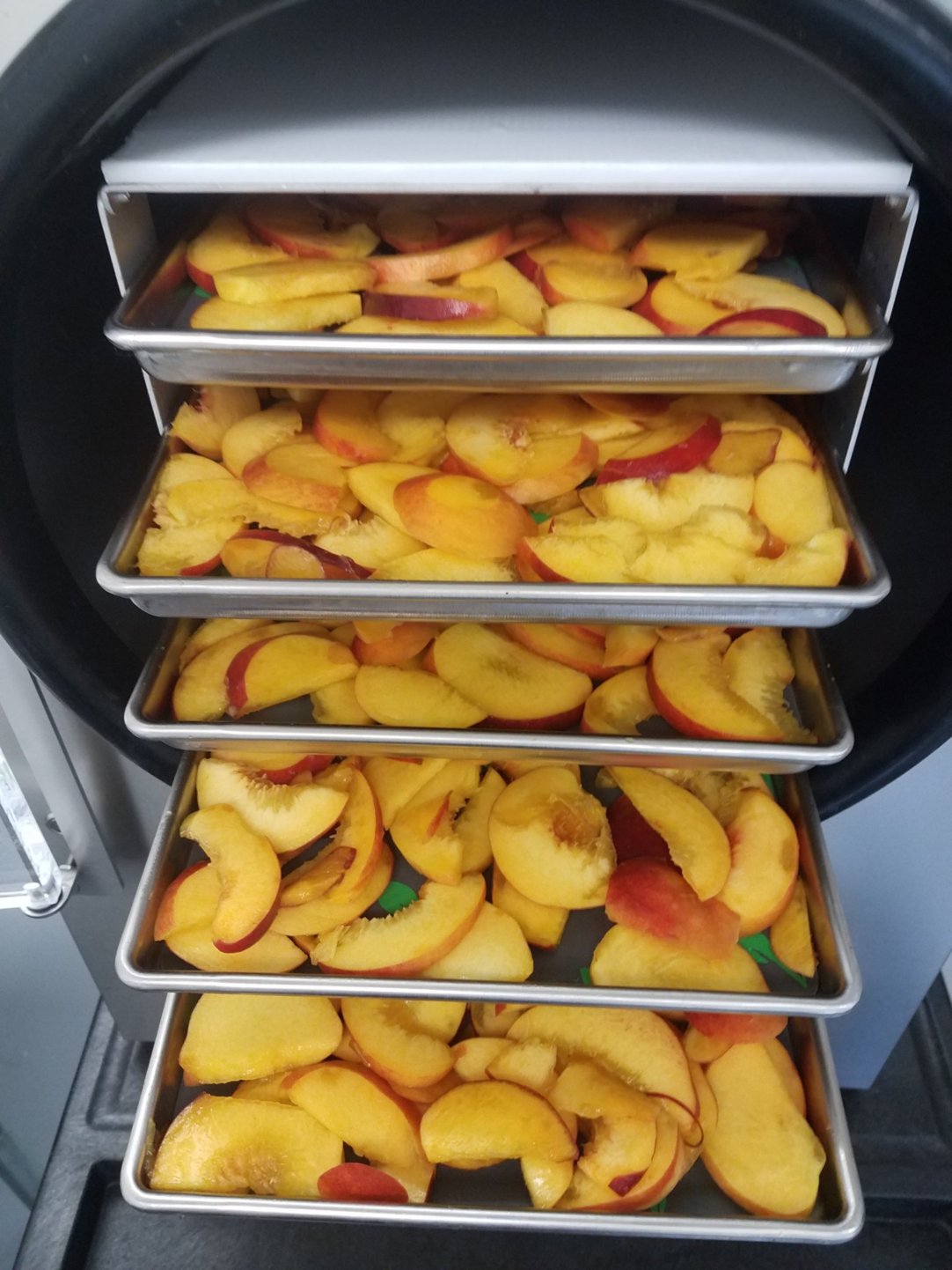 Freeze-Dried Peach Slices